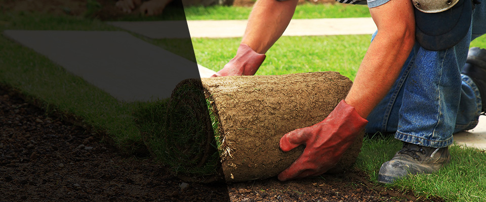 Waukegan Landscapers